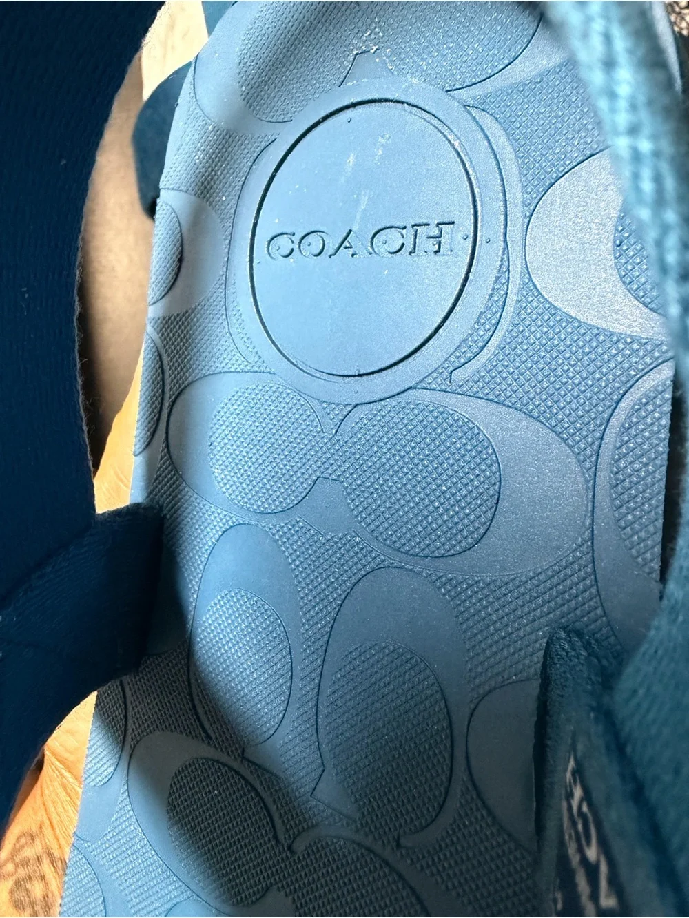 Coach Blue Adjustable Strap Sandals